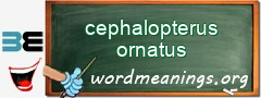 WordMeaning blackboard for cephalopterus ornatus